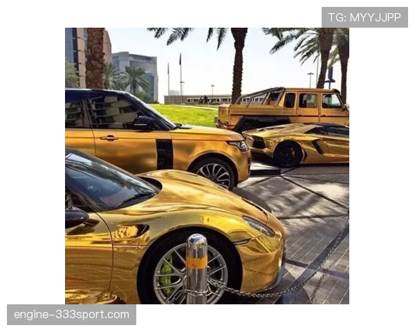 韦少又买豪车?光车库的钱普通人存一辈子都没影儿
